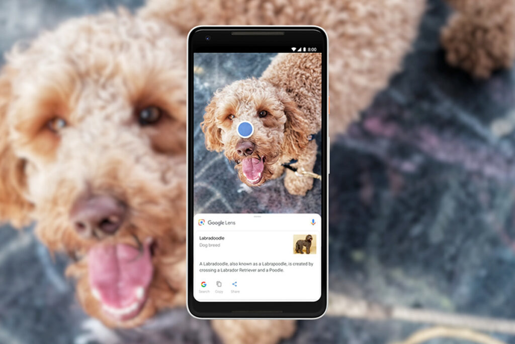 google lens dog 1.0