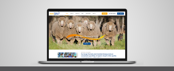 web mockup